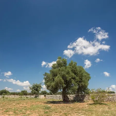 Masseria Castelluzzo Ceglie Messapica