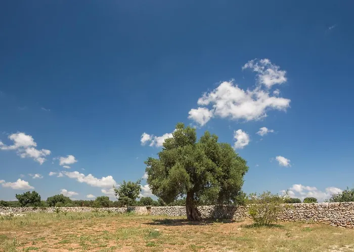 Masseria Castelluzzo 세글리에 메사피카